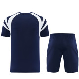 2026 AD17 Royal blue Training Short Suit