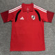 26-27 River Plate Red Polo Short Sleeve (半拉链)