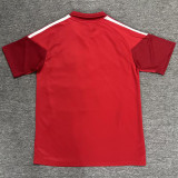 26-27 River Plate Red Polo Short Sleeve (半拉链)
