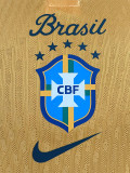 26-27 Brazil Special Edition Player Version Training shirts