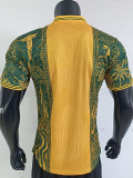 26-27 Brazil Special Edition Player Version Training shirts