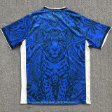 26-27 Brazil Blue Special Edition Training shirts (蓝豹)