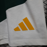 26-27 Italy Green White Player Version Training Shorts Pants (球员短裤)