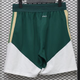 26-27 Italy Green White Player Version Training Shorts Pants (球员短裤)