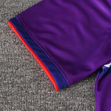 26-27 PSG Purple Training Short Suit