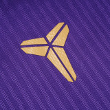 26-27 BAR Purple Player Version Training Short Suit (球员短套装)
