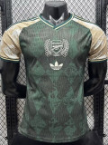 26-27 ARS Green Special Edition Player Version Training Shirts
