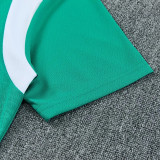 26-27 Senegal Green Training Short Suit