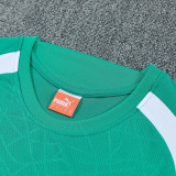 26-27 Senegal Green Training Short Suit