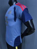 26-27 Bayern Grey ‌Player Version Training Shirts
