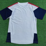 26-27 Bayern Beige Player Version Training Short Suit (球员短套装)