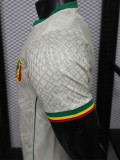 26-27 Mali Home Player Version Soccer Jersey (WA)