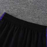 26-27 BAR Purple Training Short Suit