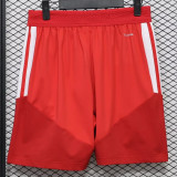 26-27 River Plate Red Player Version Training Shorts Pants (球员短裤)