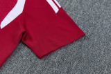 26-27 LIV Red Training Short Suit