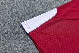 26-27 LIV Red Training Short Suit