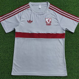 26-27 LIV Grey Casual Player Version Training Shirts (灰色)