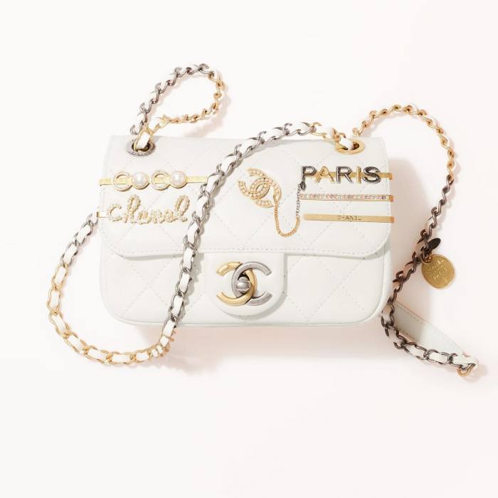 Chanel Metal-Embellished Leather One-Shoulder Crossbody Bag #nigo53852
