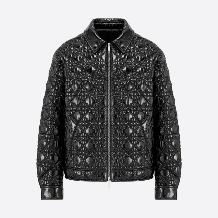 Dior NIGO Leather Zipper Jacket #nigo3421