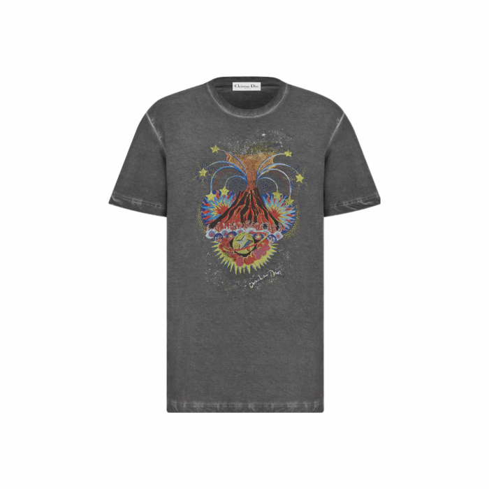 DIOR NIGO Grey Printed Short Sleeved T-shirt #nigo57672