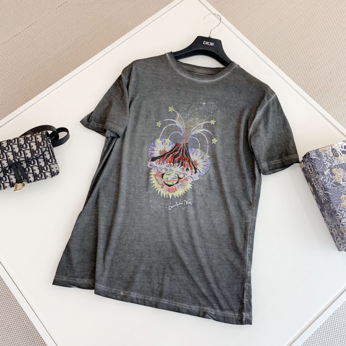 DIOR NIGO Grey Printed Short Sleeved T-shirt #nigo57672