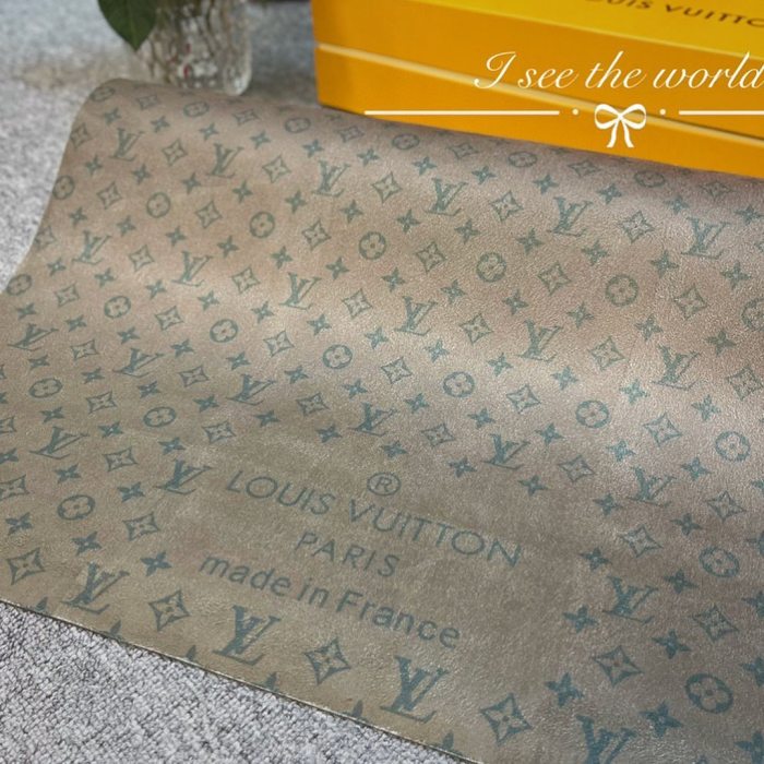 Louis Vuitton Fitness Yoga Exercise Mat #nigo699