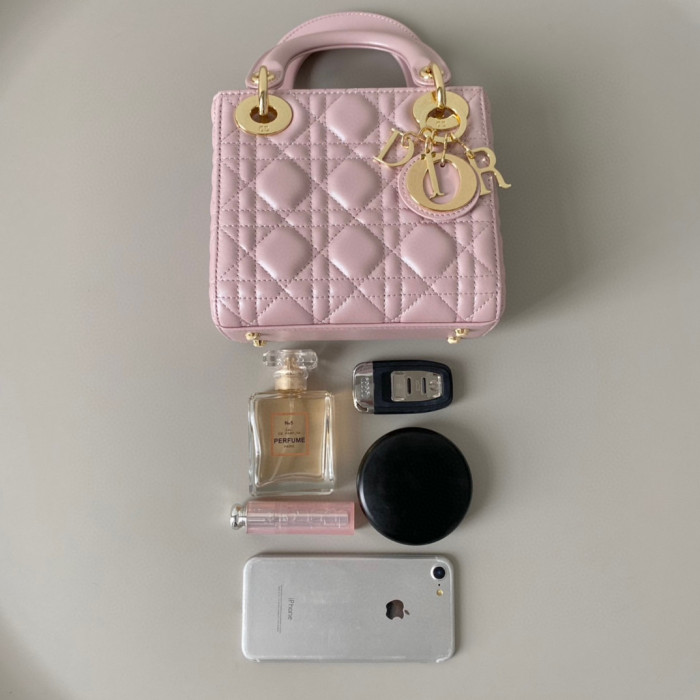 Dior Lady-D-Joy Bag NIGO Leather Carrying Chain Bag #nigo21446