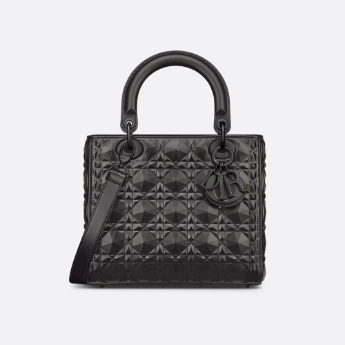 Dior Black Fashionable Portable Bag #nigo21654