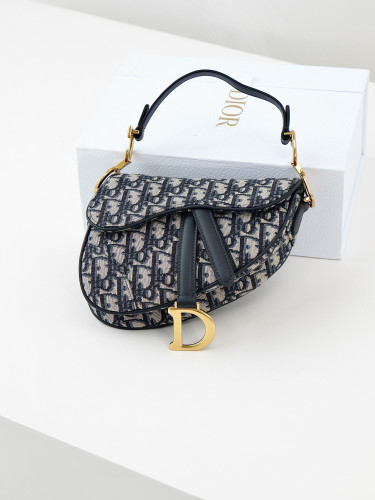 Dior Oblique Canvas Printed Portable Bag #nigo21651