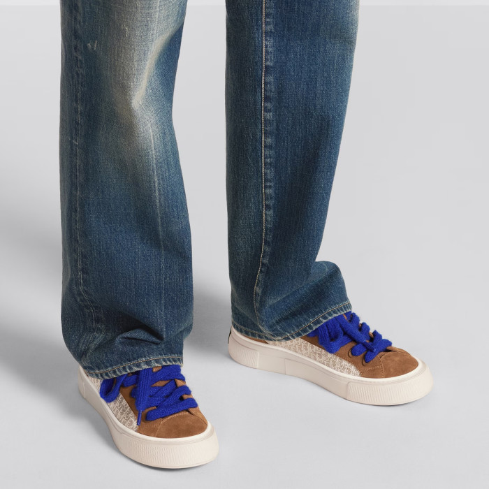 Dior Flat Bottom Printed Lace Up Canvas Casual Board Shoes #nigo21683