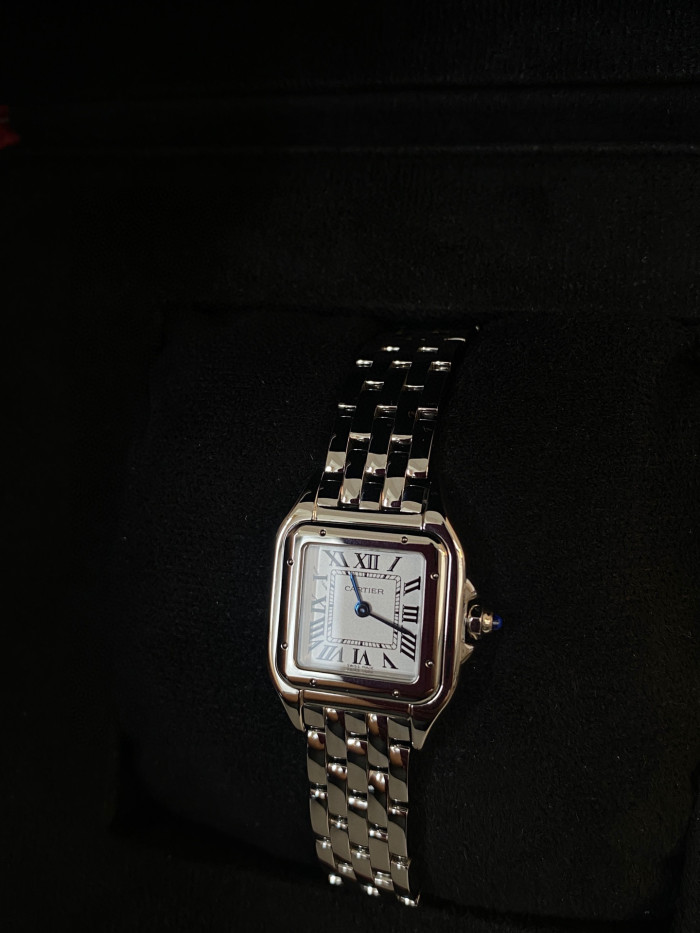 Cartier Cheetah Collection Silver Fashion Small Square Watch #nigo96317
