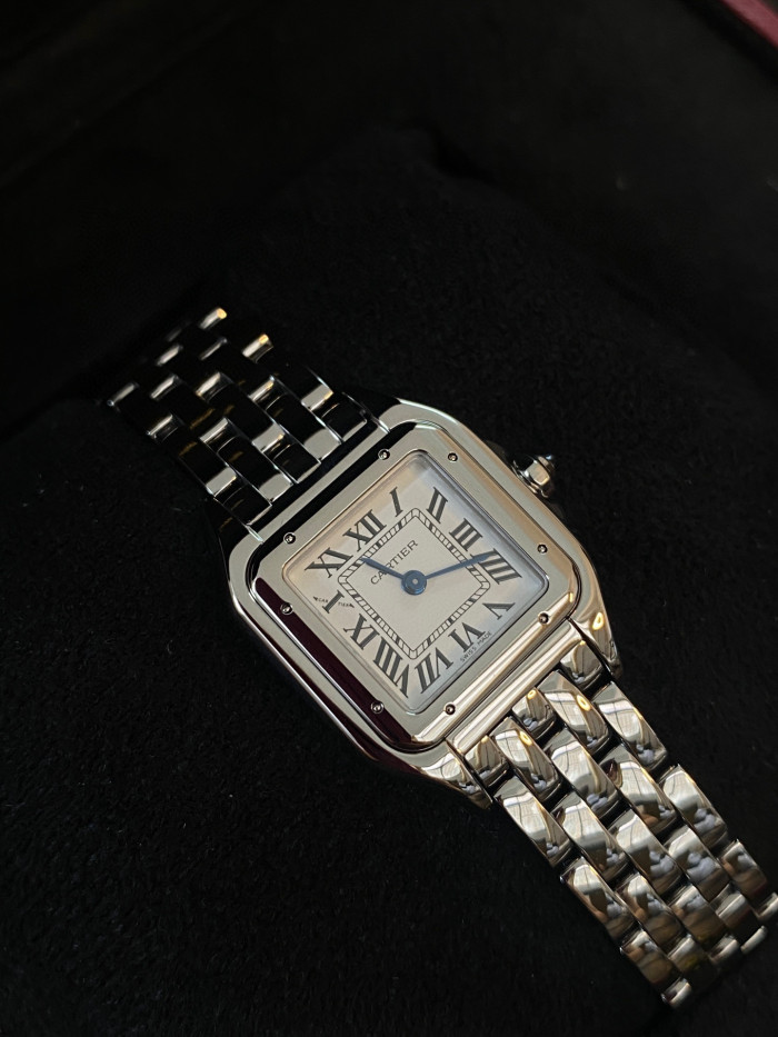 Cartier Cheetah Collection Silver Fashion Small Square Watch #nigo96317