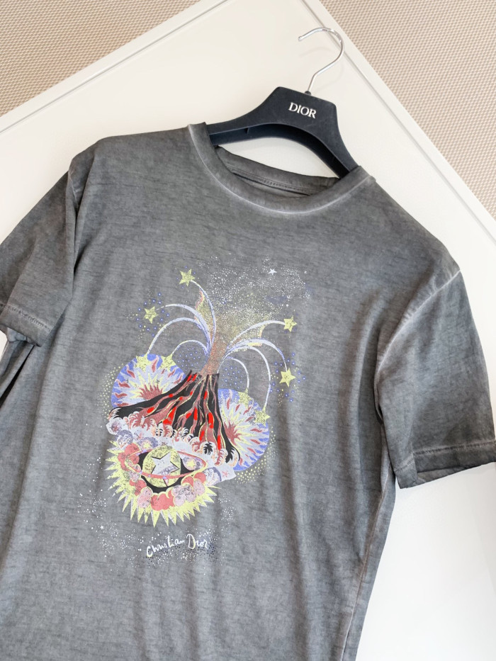 DIOR NIGO Grey Printed Short Sleeved T-shirt #nigo57672