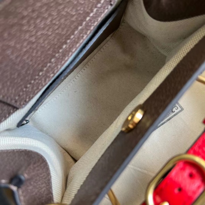 Gucci Diana Leather Printed Portable Bamboo Joint Bag #nigo53124