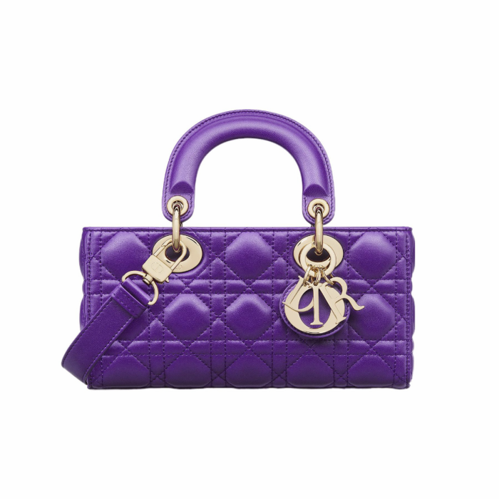 Dior Handbag Bag Bags #nigo57983