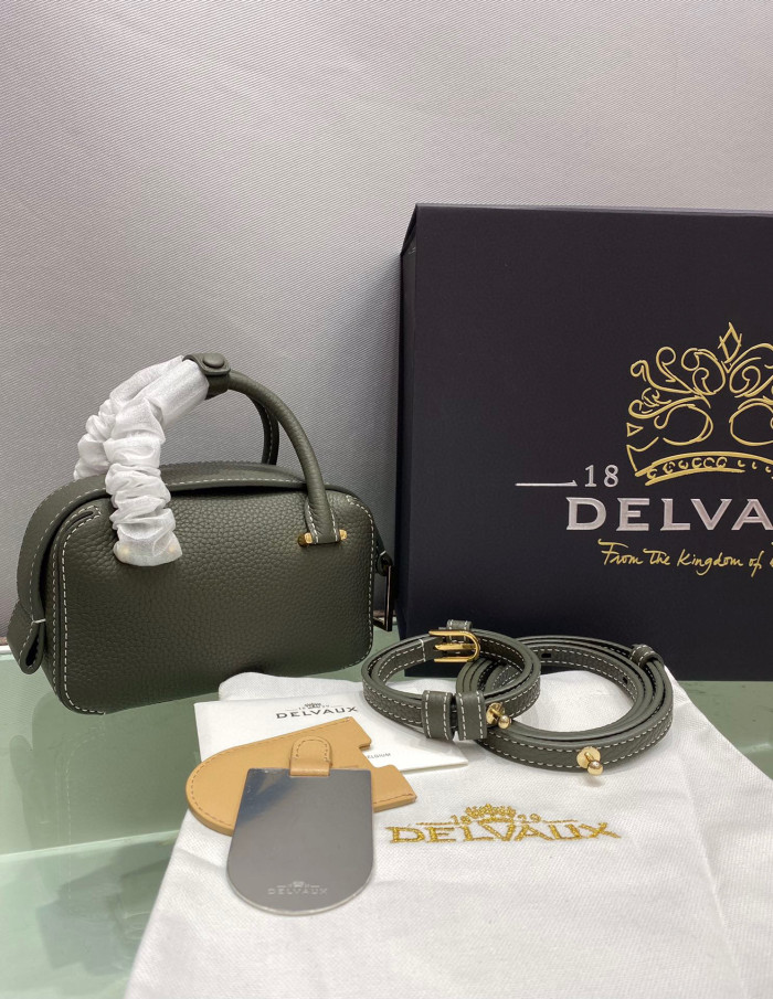 Delvaux Cool Box Taurillon Grained Calfskin Tote Bag Ngvp #nigo5836