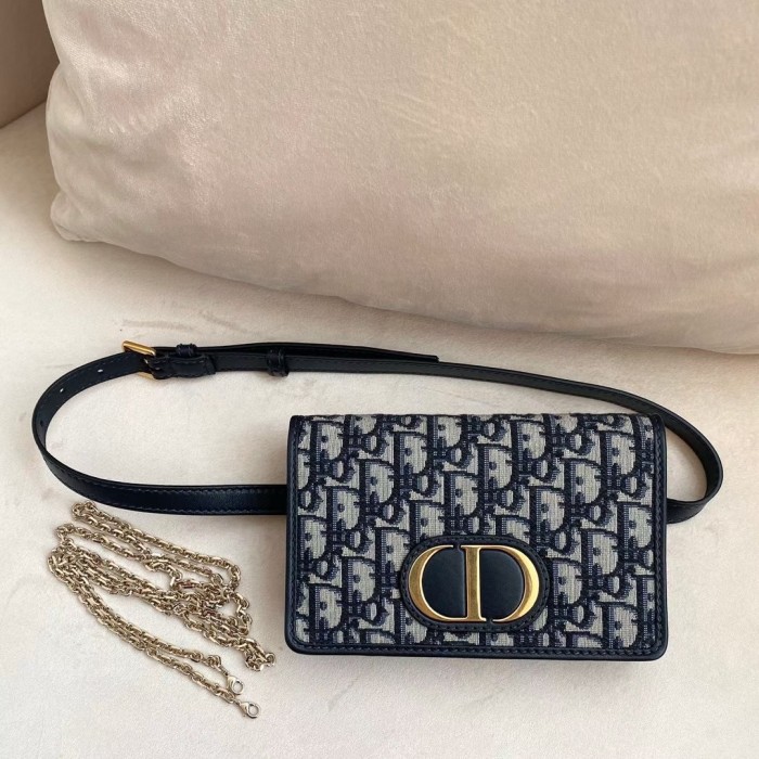 DIOR Chain Leather Belt Waist Bag Shoulder Bags #nigo52515