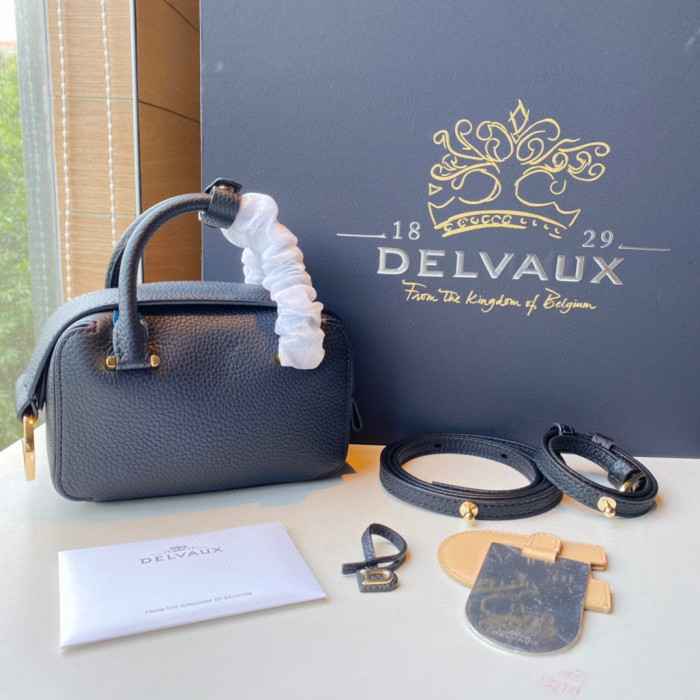 Delvaux Cool Box Taurillon Grained Calfskin Tote Bag Ngvp #nigo5836