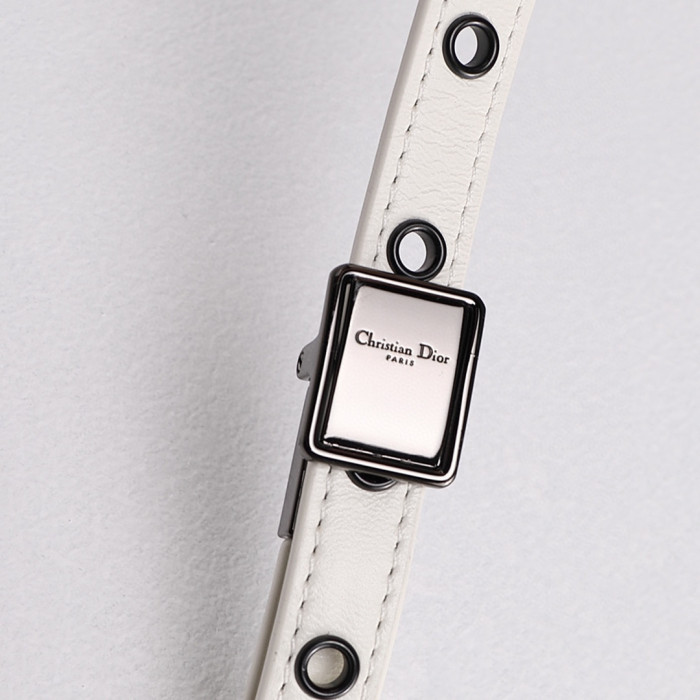 DIOR Square Leather Bags Chain Shoulder Bag  #nigo55669