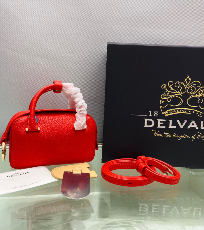 Delvaux Cool Box Taurillon Grained Calfskin Tote Bag Ngvp #nigo5836
