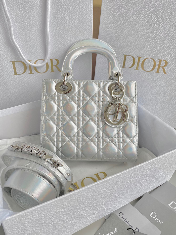 Dior Lady-D-J Multi Style Portable Bag #nigo21322