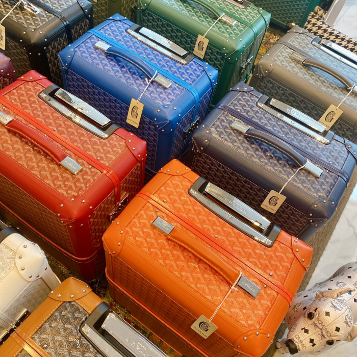 GOYARD Printed Outgoing Luggage #nigo21768