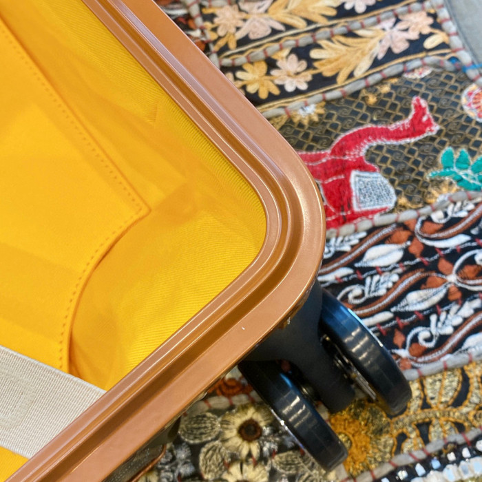 GOYARD Printed Outgoing Luggage #nigo21768