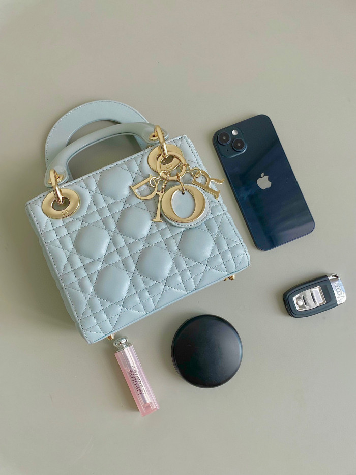 Dior Lady-D-Joy Bag NIGO Leather Carrying Chain Bag #nigo21446