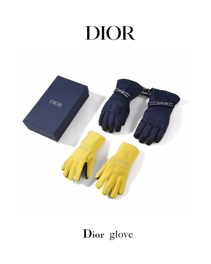 Dior Ski Series Set Skateboard Gloves Helmet Ski Goggles #nigo6446