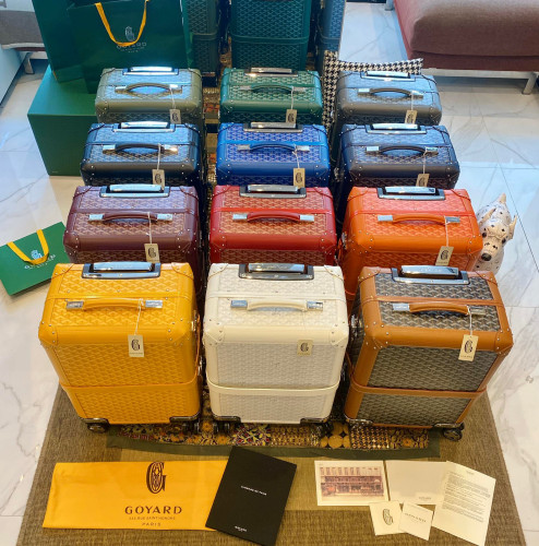 GOYARD Printed Outgoing Luggage #nigo21768