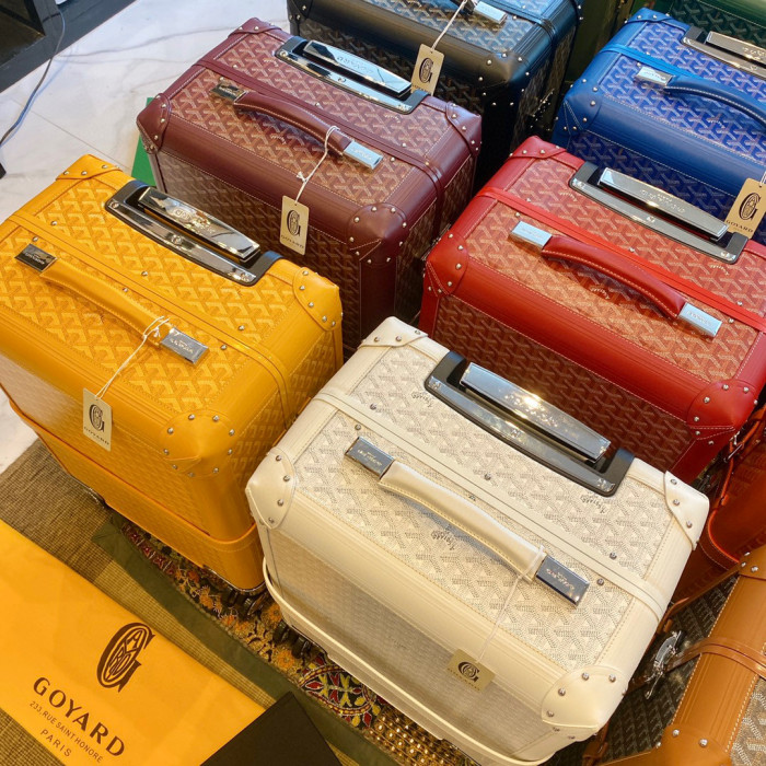 GOYARD Printed Outgoing Luggage #nigo21768