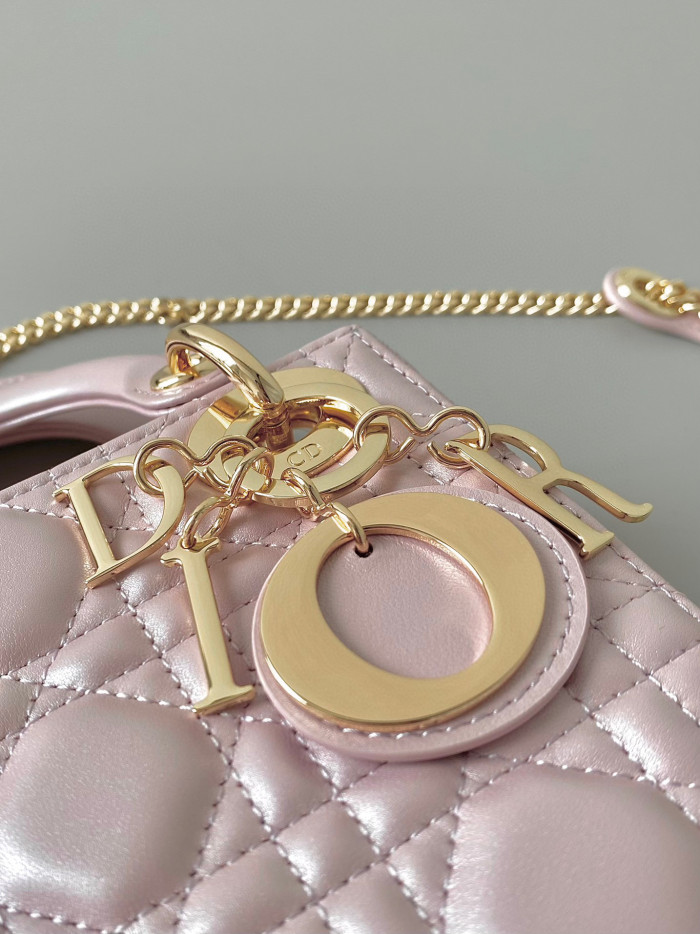 Dior Lady-D-Joy Bag NIGO Leather Carrying Chain Bag #nigo21446