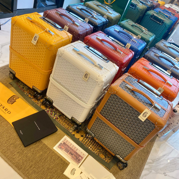 GOYARD Printed Outgoing Luggage #nigo21768