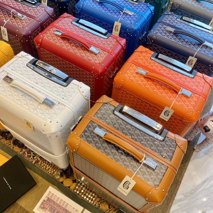 GOYARD Printed Outgoing Luggage #nigo21768